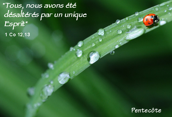 2023 Une au 05 26 Pentecote