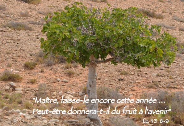 2025 Une au 03 22 3e Careme C